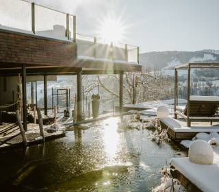Soul Days Retreat - Resort Bergkristall