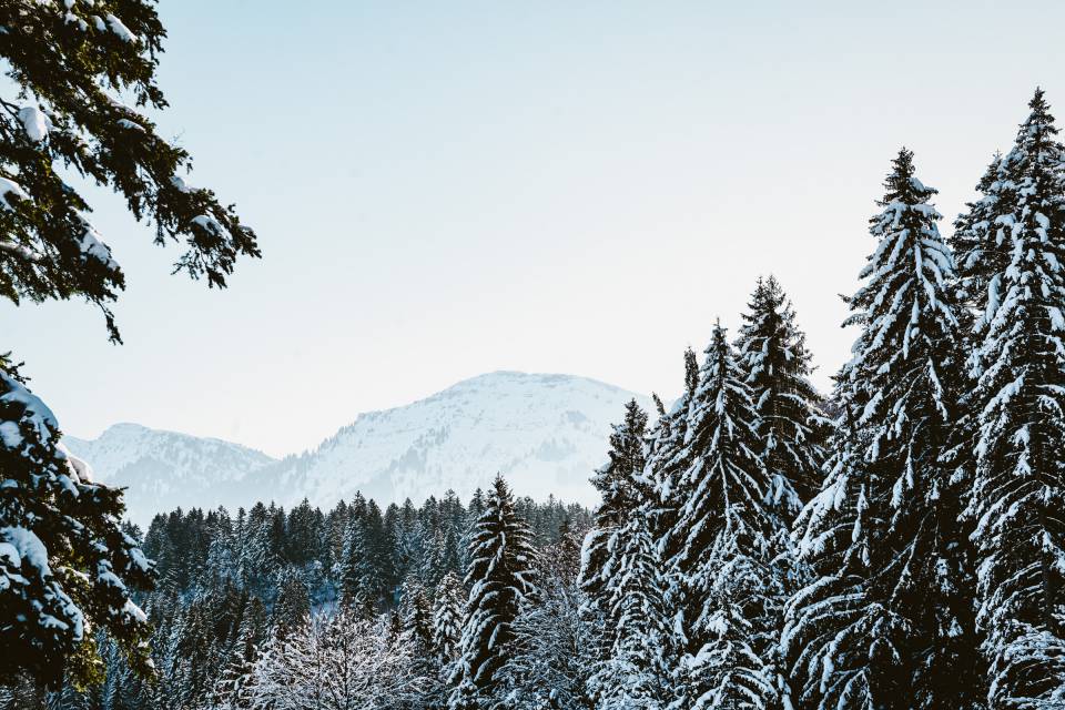 Allgäuer Winterlandschaft