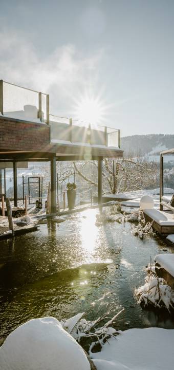 Außenansicht im Winter mit Naturteich