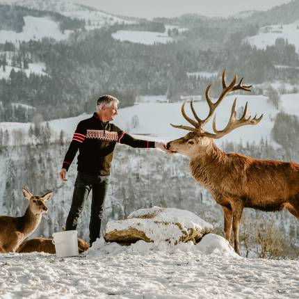 Hotel's own deer park - Resort Bergkristall