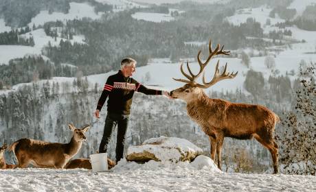 Mann füttert Hirsch