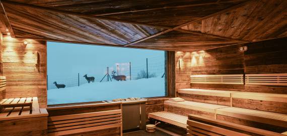 Sauna mit Blick auf das Hirschgehege