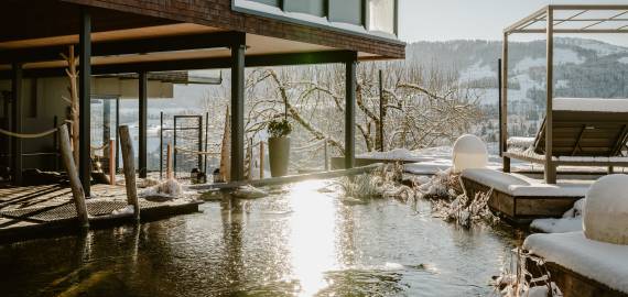 Naturteich mit Tauchbecken im Winter